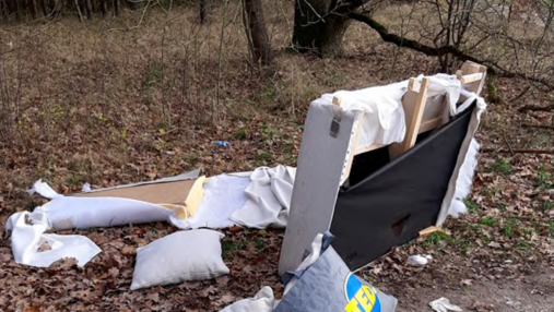 Foto zum Thema illegale Müllentsorgung: Zu sehen ist Sperrmüll im Wald.