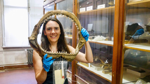 Die Bibliothek der Fische verwalten