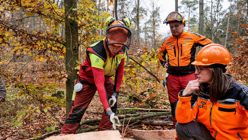Foto zum Thema Forstwirtschaft und Klimawandel: Zu sehen ist Patricia Stichling, wie sie das Stockbild eines Stammes kontrolliert. Drumherum stehen Forstarbeiter.
