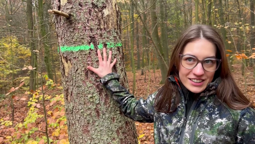 Video zum Thema Forstwirtschaft und Klimawandel: Zu sehen ist Försterin Patricia Stichling, die die Farbmarkierungen an den Bäumen erläutert.